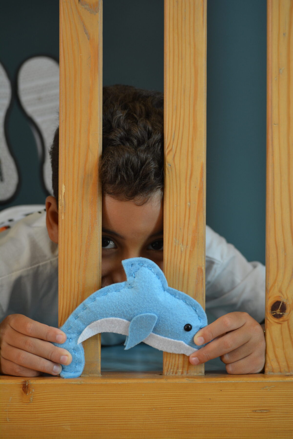 Skippy the Dolphin